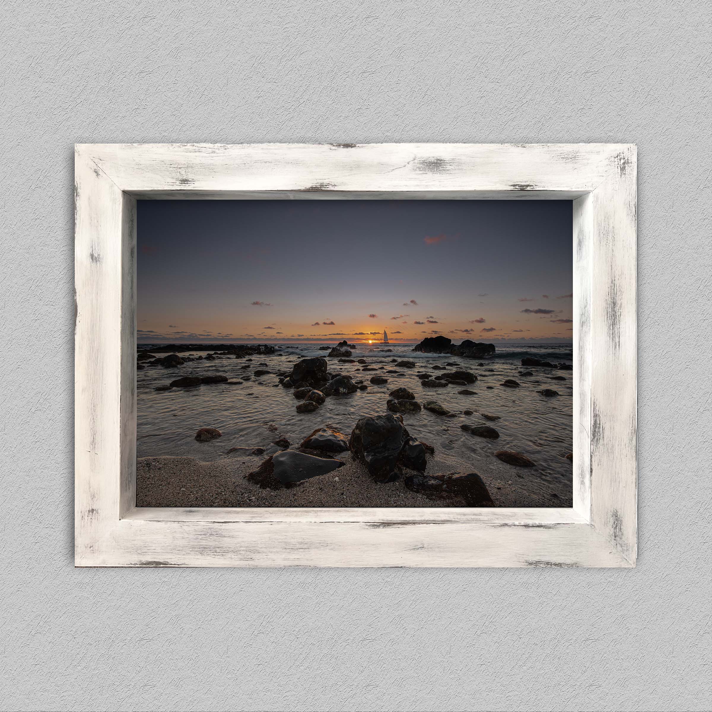 L'horizon des aigrettes