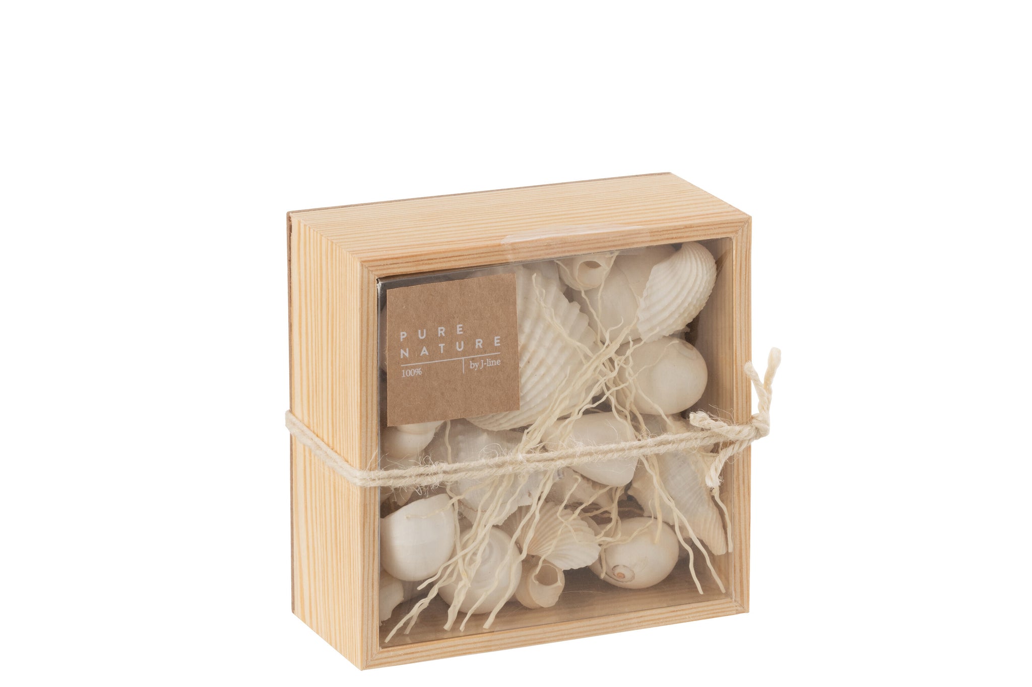 Deko Box mit echten Muscheln in Weiß quadratisch