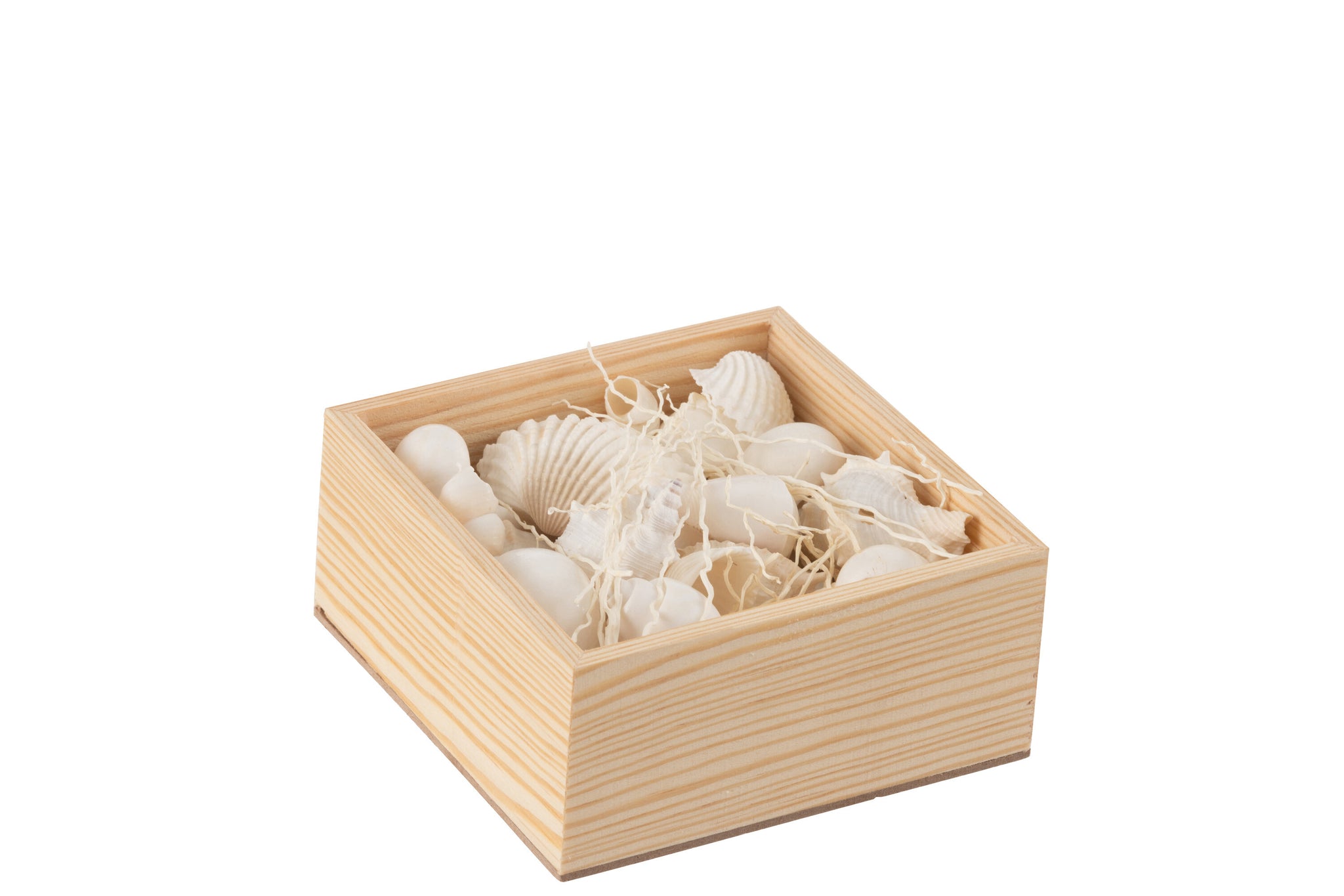 Dekobox mit Muscheln und Holzrahmen maritime Dekoration