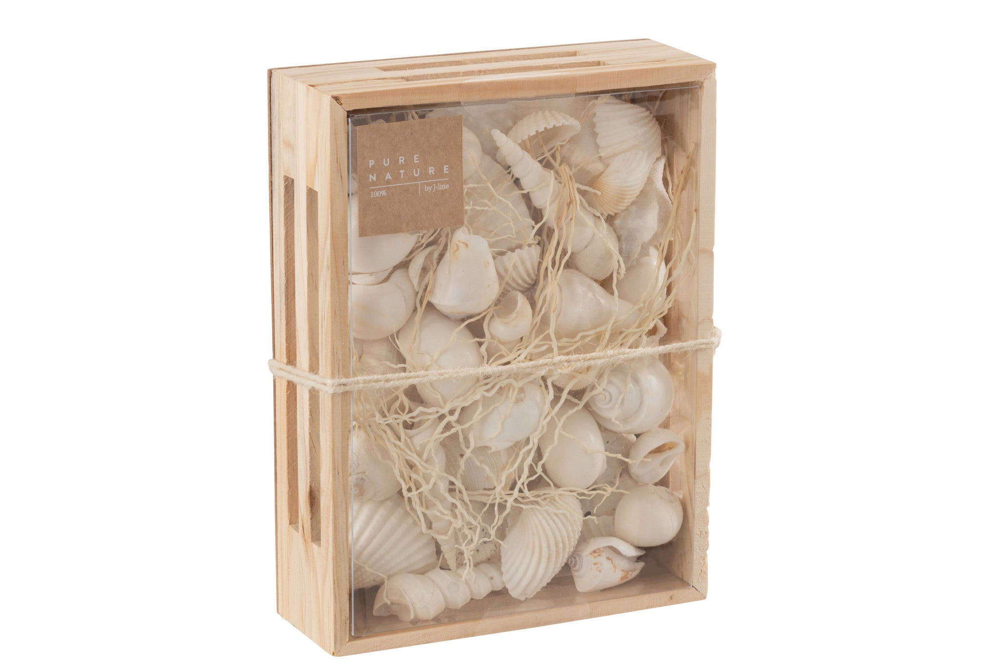 deko box muscheln weiss