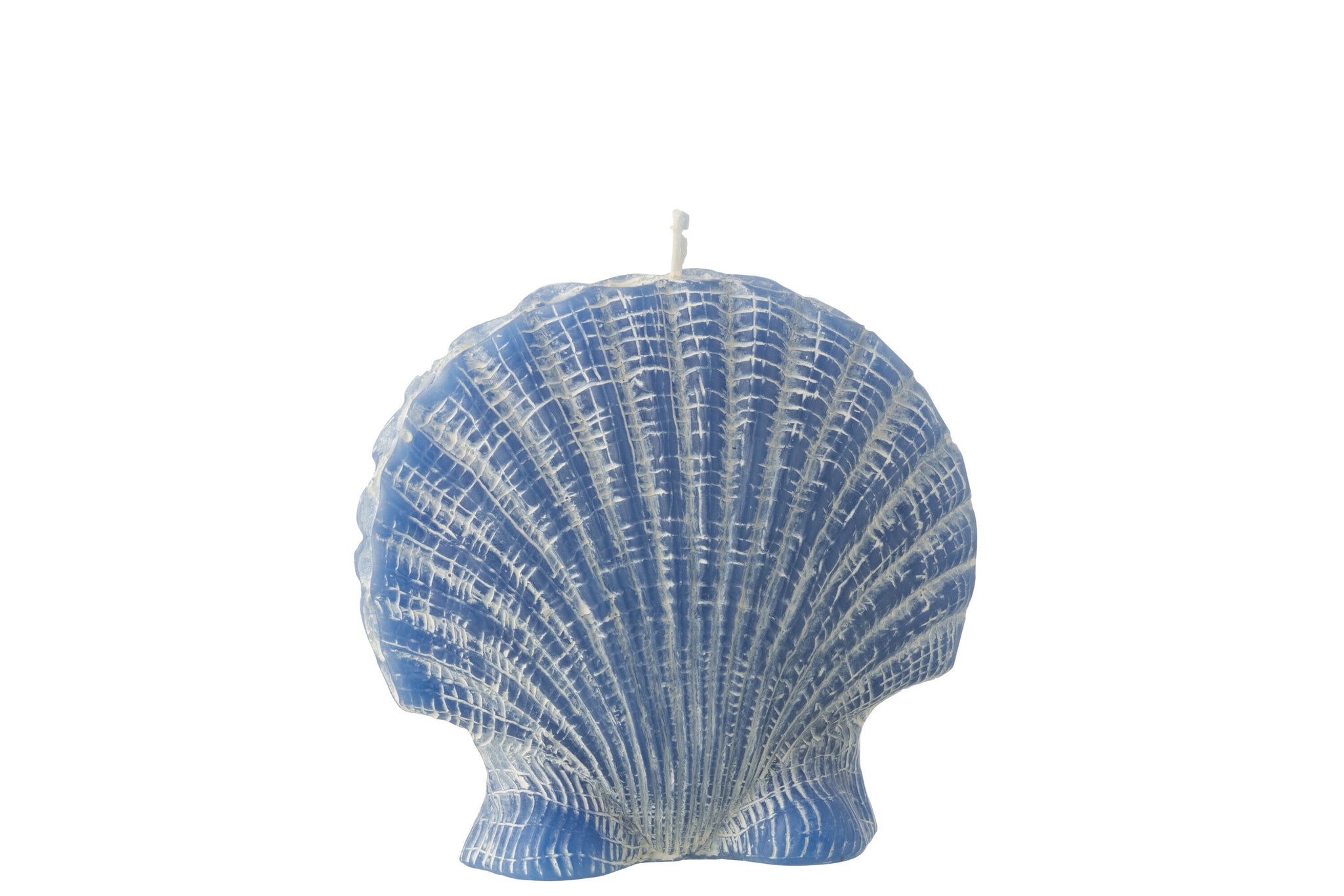 muschel kerze blau maritime deko kerze