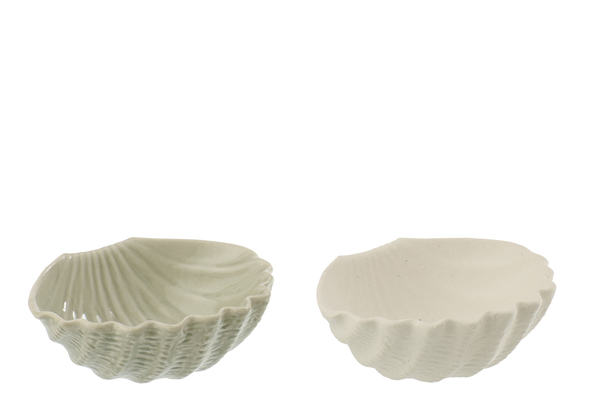 muschel schale set weiß olive steinzeug deko