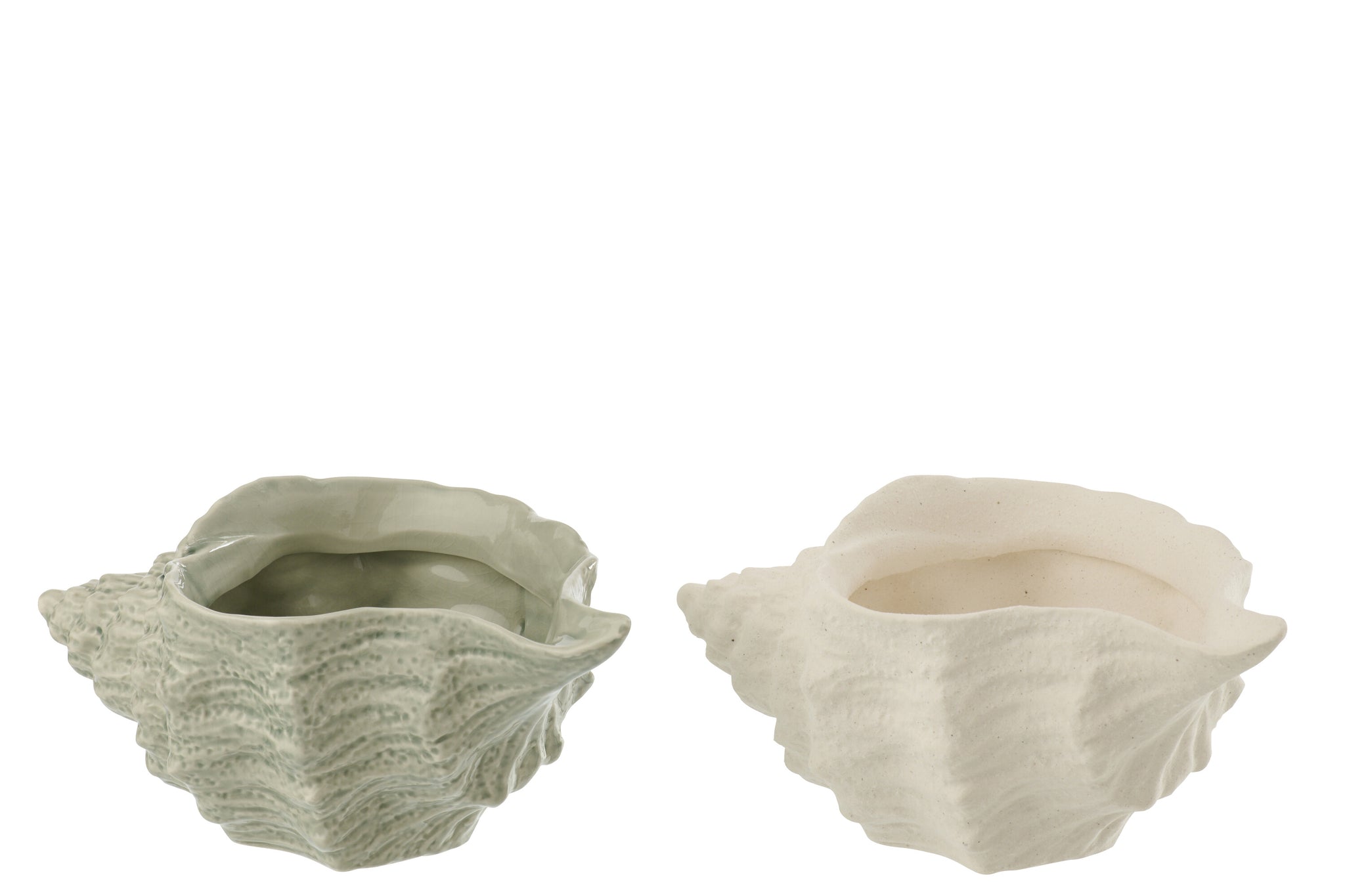 Muschelschalen aus Steingut in Weiß und Olive im dekorativen 2er Set