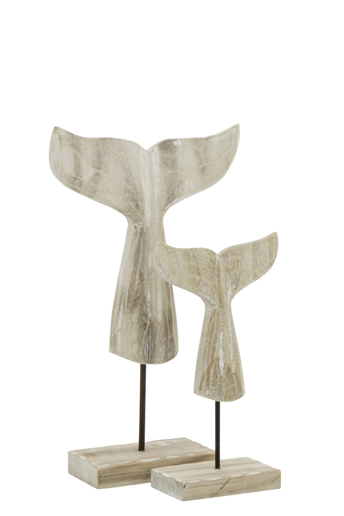 Walflossen Deko – Natur (L)