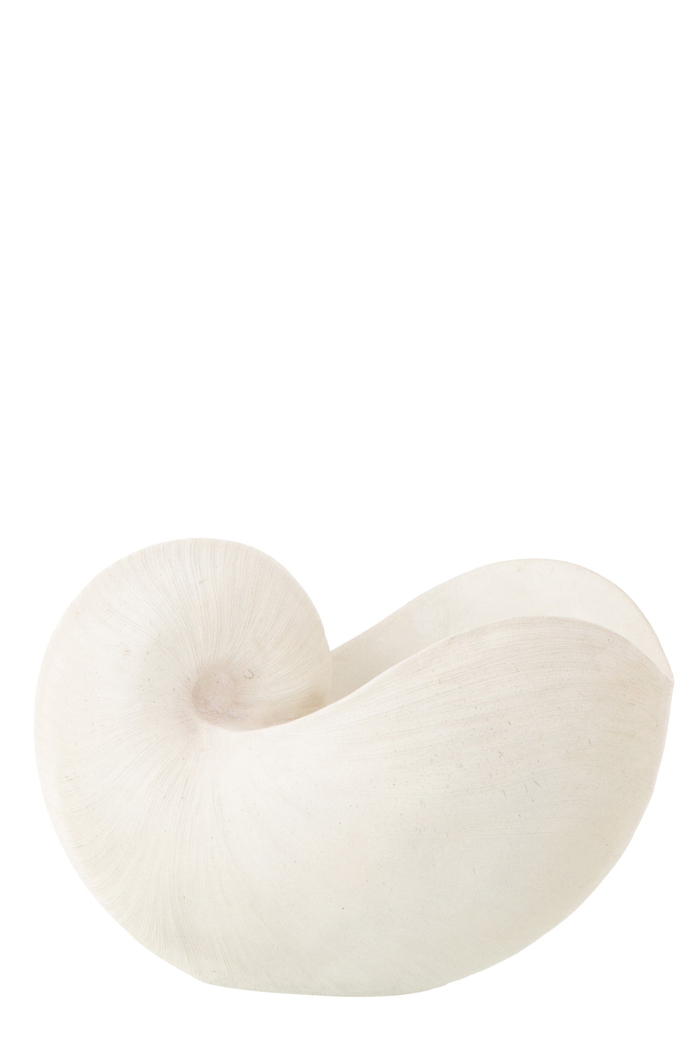 muschel deko weiß maritim skulptur wohnzimmer