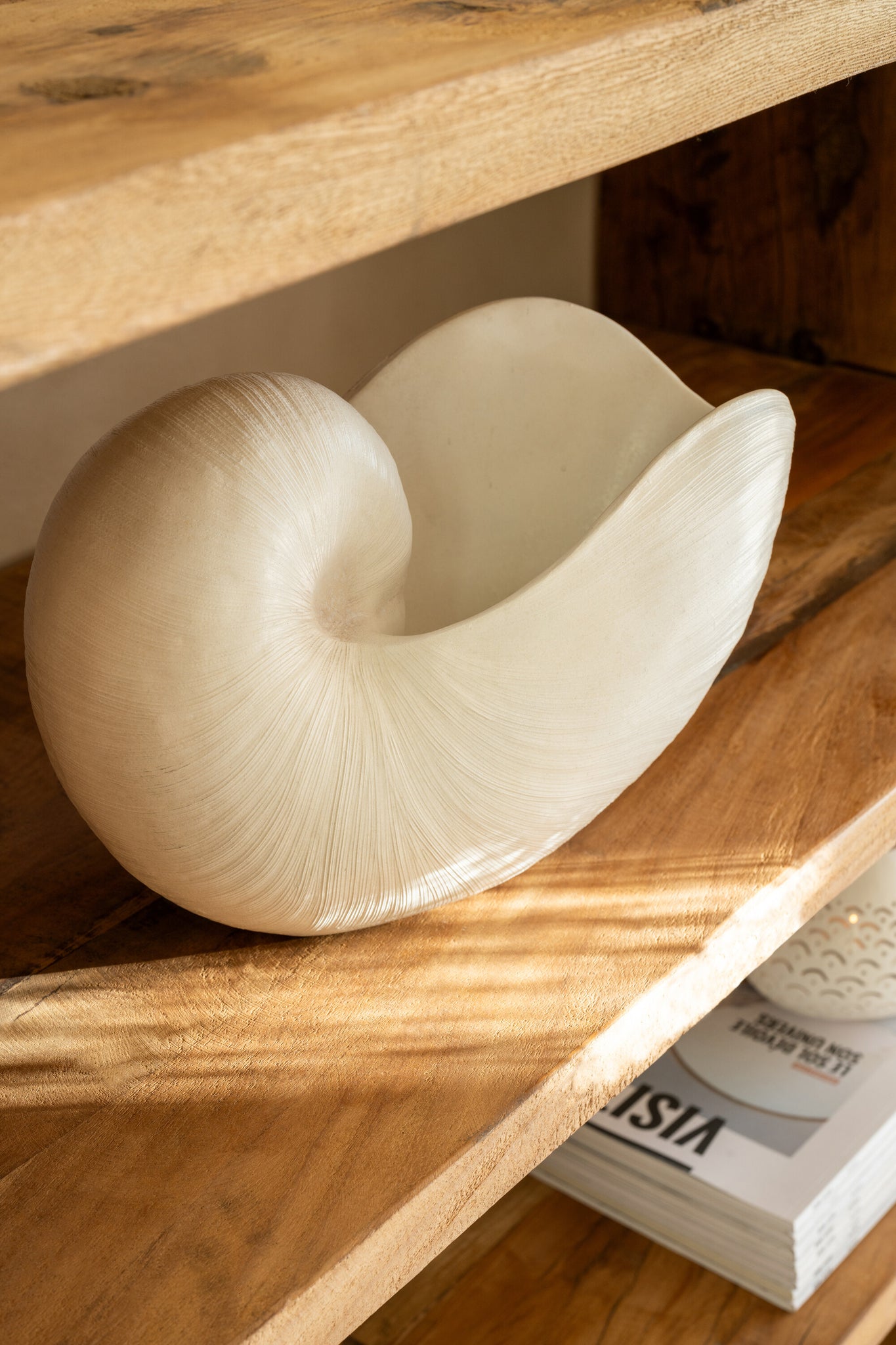 coastal muschel figur weiß strand deko holz regal