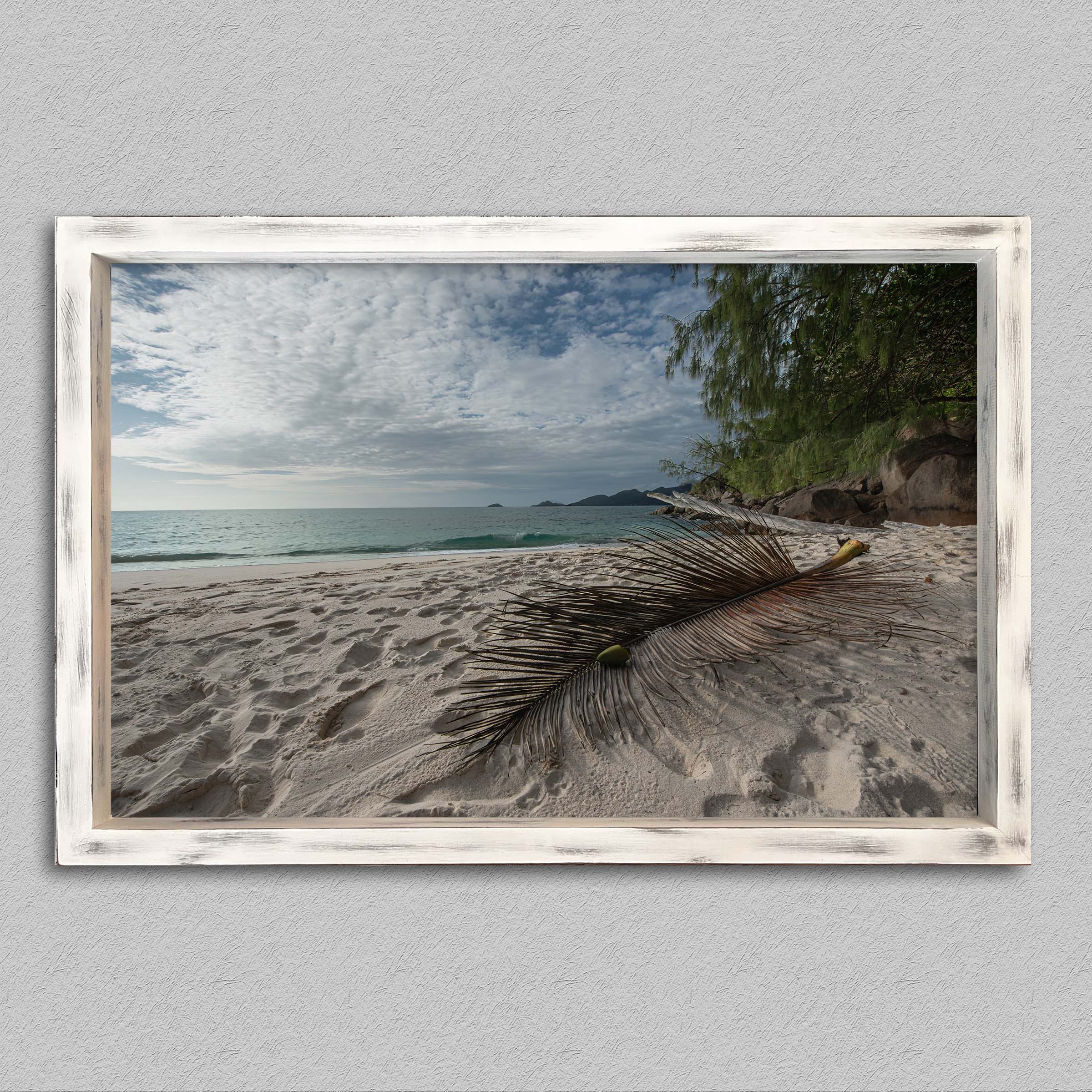 La palme de anse soleil