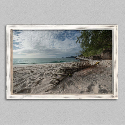 La palme de anse soleil