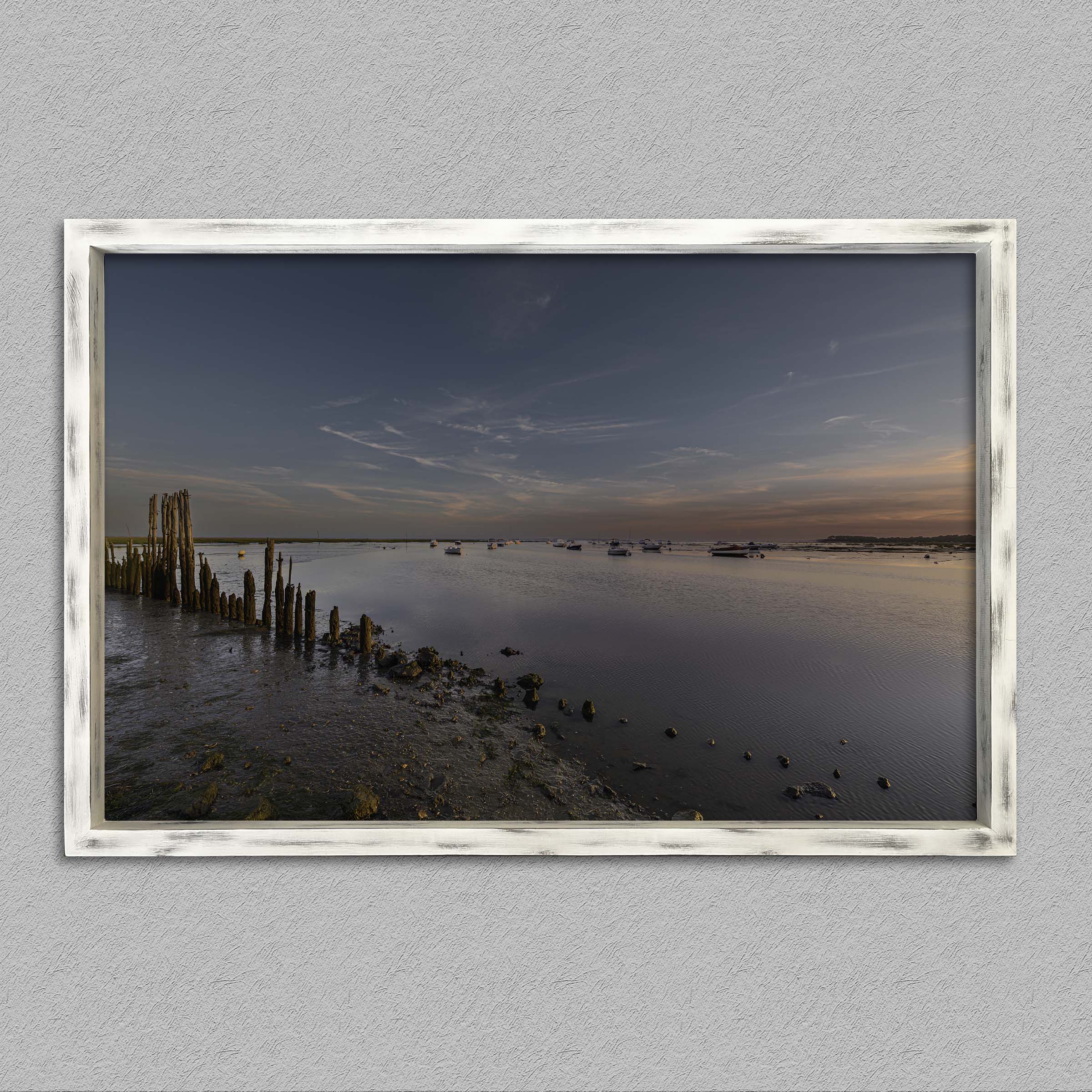 Au coeur de la tulipe