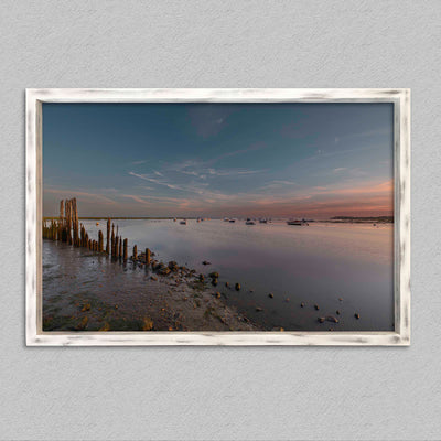 Au coeur de la tulipe