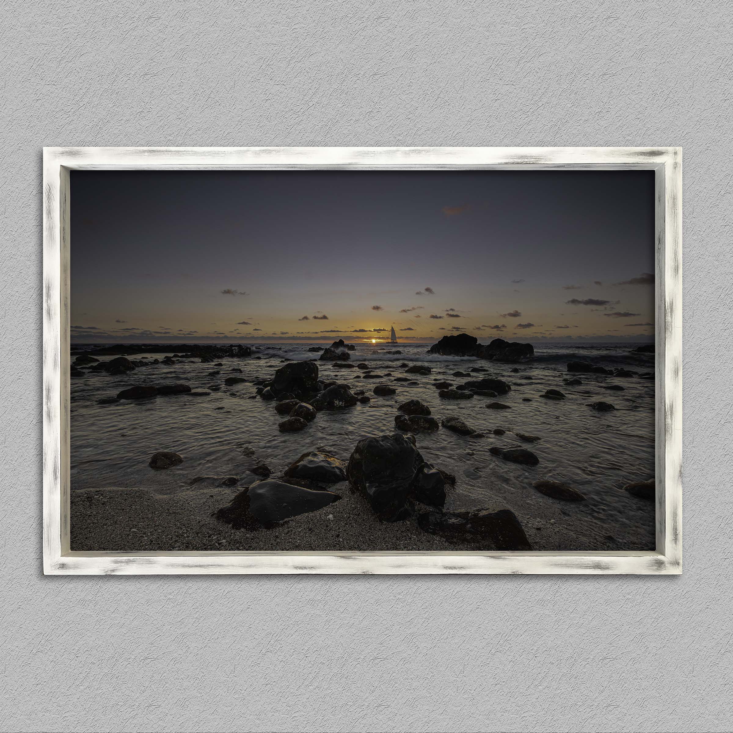 L'horizon des aigrettes