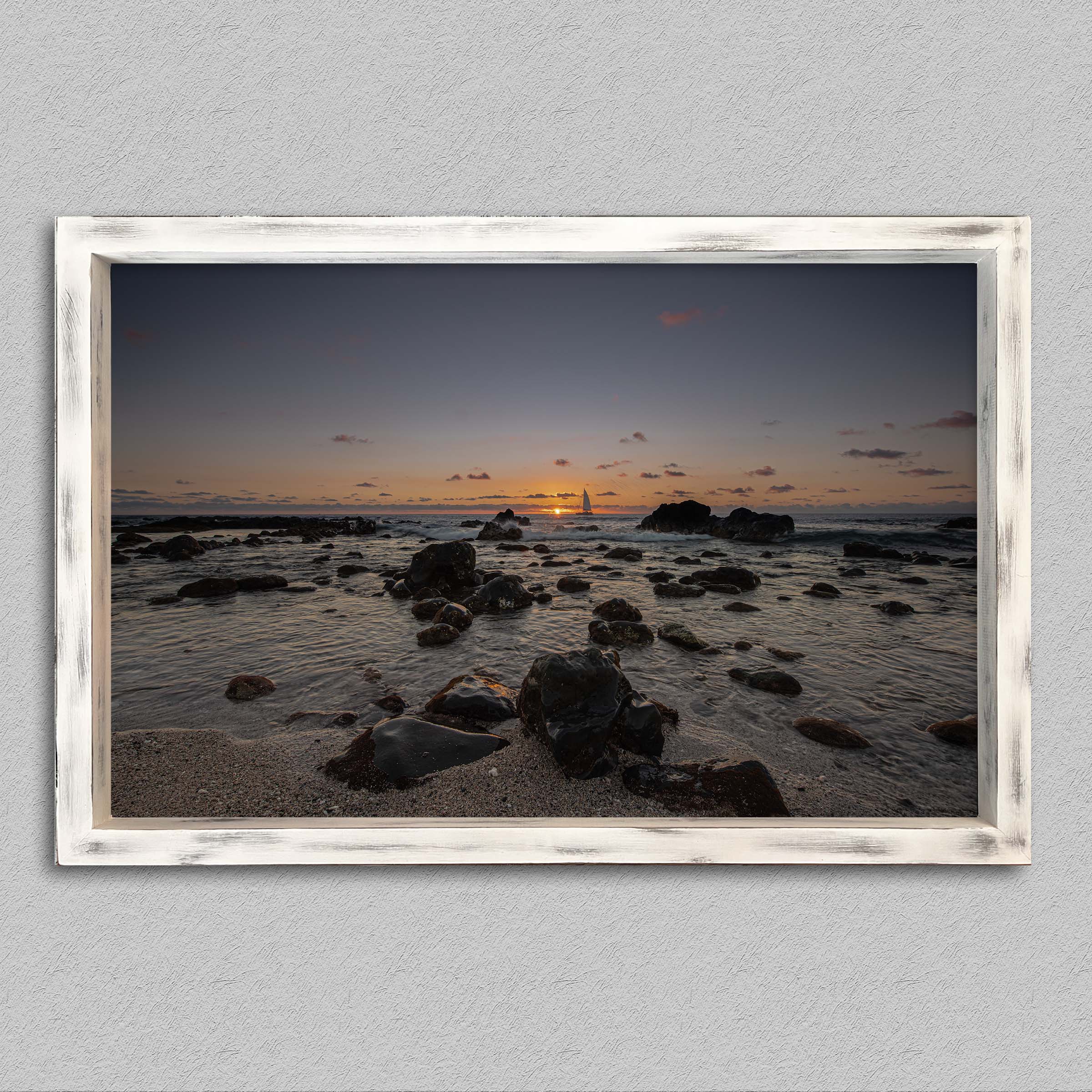 L'horizon des aigrettes