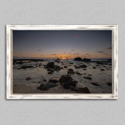 L'horizon des aigrettes