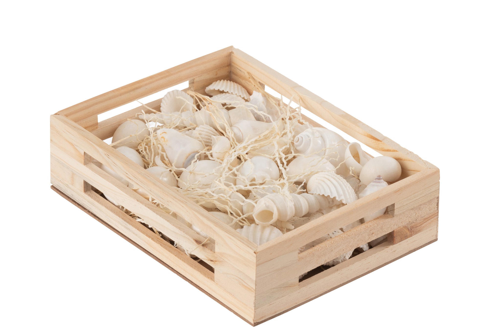 muscheln box holz maritim