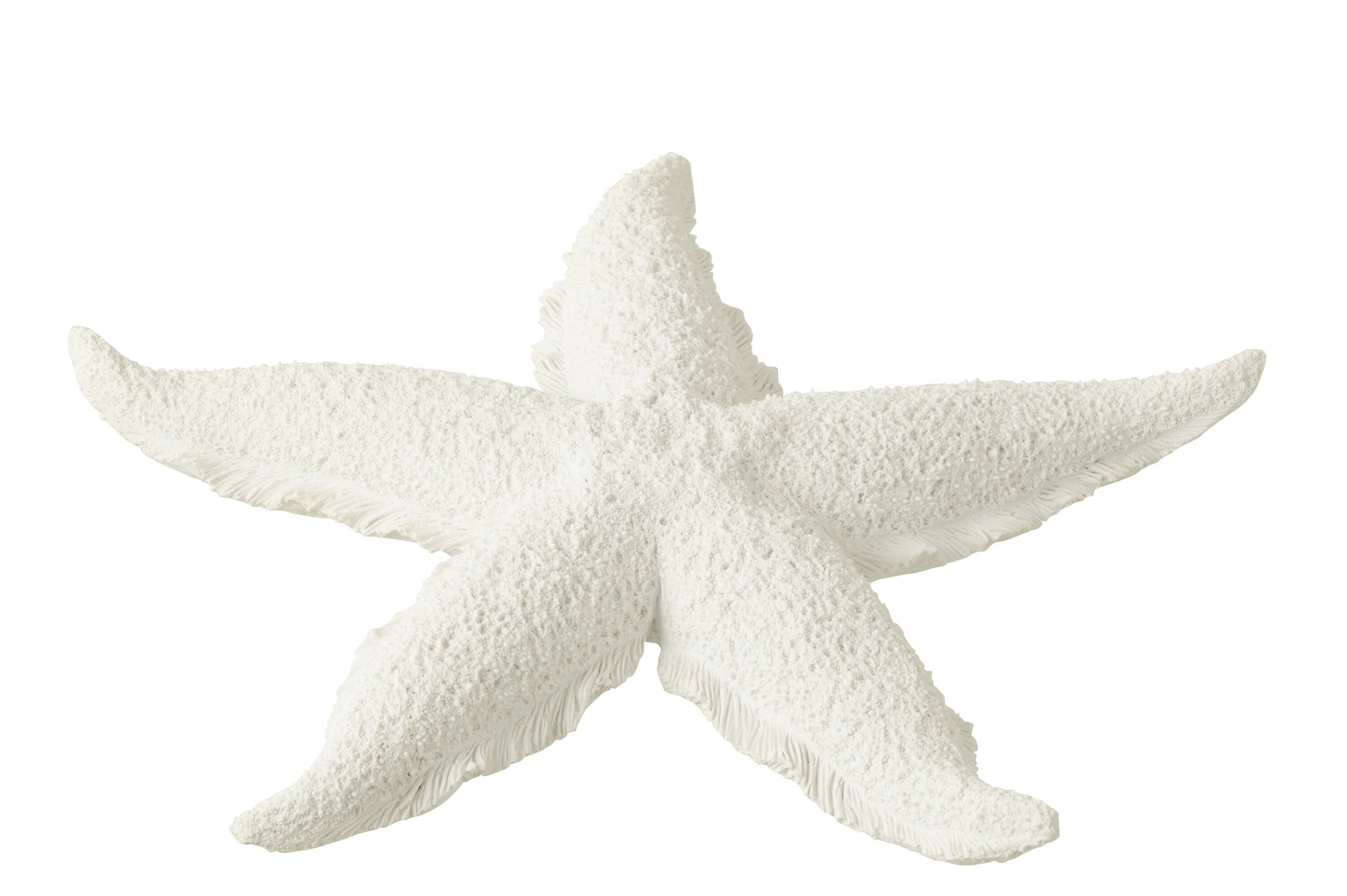 Figura de estrella de mar – Blanco (L)