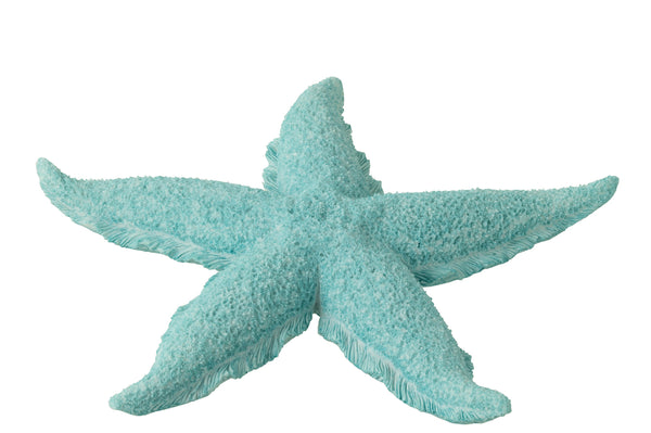 Étoile de mer – Azure (L)