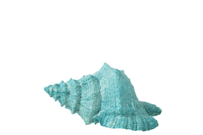 Figurine Coquillage Azur (L)
