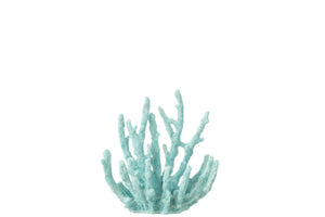 Corail - Azur (M)