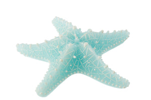 Étoile de mer Bougie Azur (S)