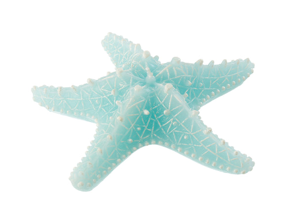 Étoile de mer Bougie Azur (S)