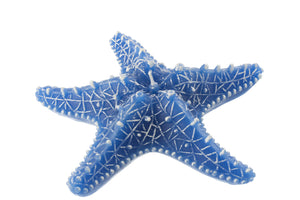 Bougie Étoile de mer bleue (M)