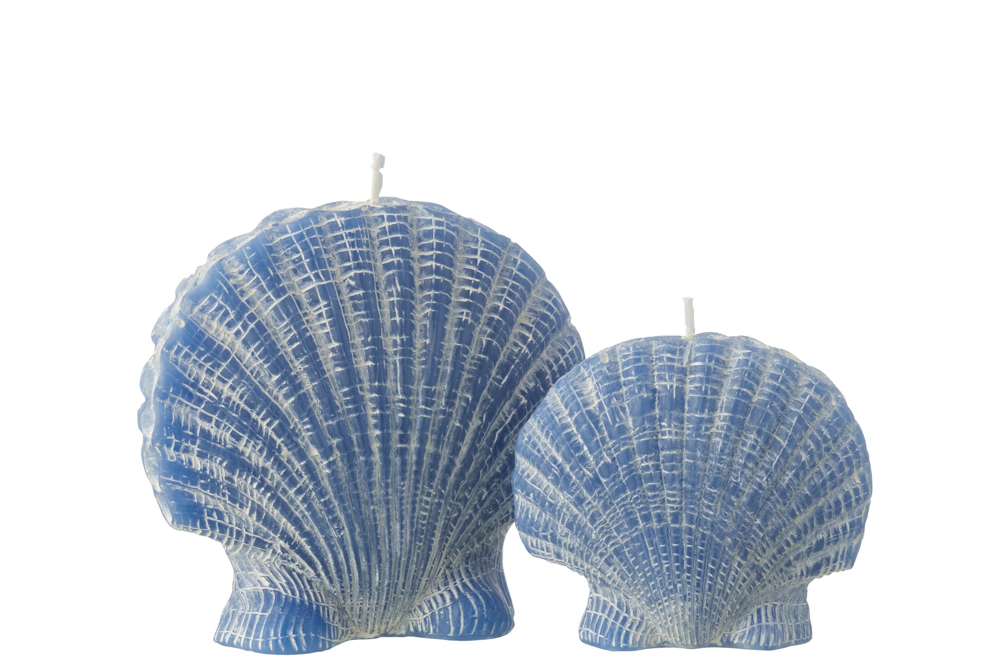 Kerze Muschel Wachs - Blau (L)