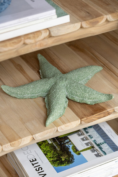 Seestern ``Varques´´ aus Polyresin – Mintgrün  (Klein)