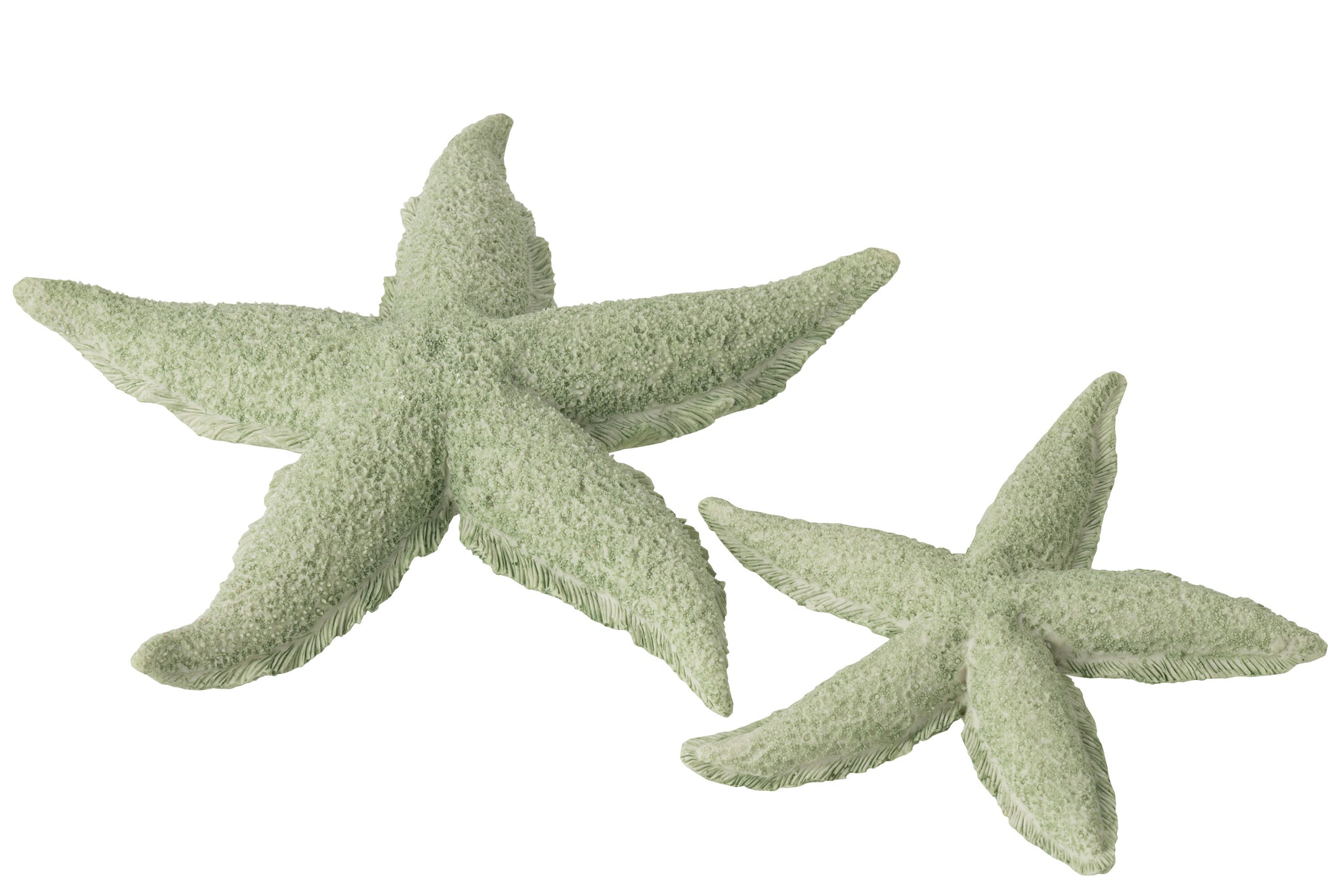 Seestern Polyresin – Mintgrün  (L)