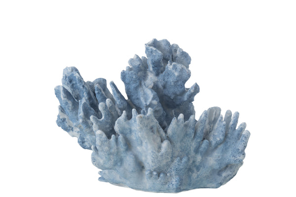Korallen - Hellblau (L)