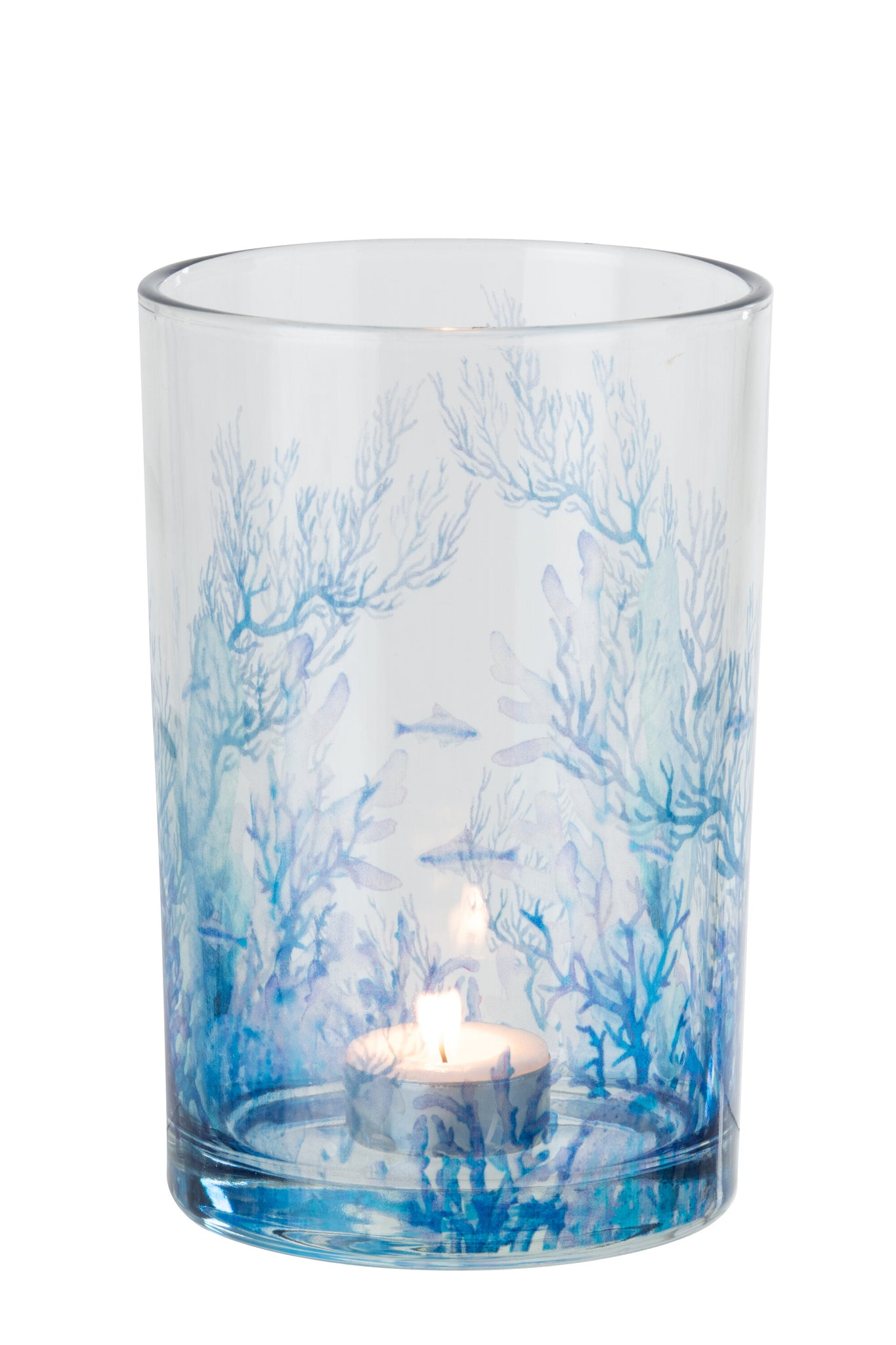 Windlicht Koralle Glas Blau/Transparent 