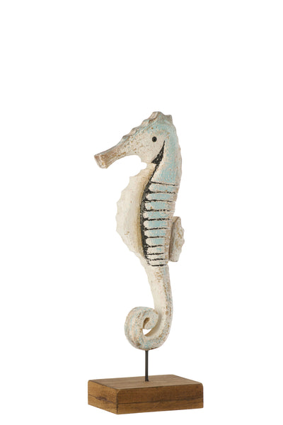 Hippocampe, Bleu clair (M)